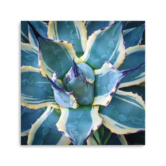 Lumaprints Elegant Thorns Canvas Giclée Wall Art